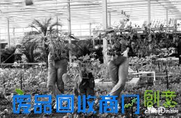 创意农业:闪耀智慧前景广