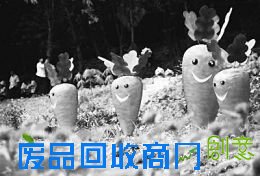 创意农业:闪耀智慧前景广