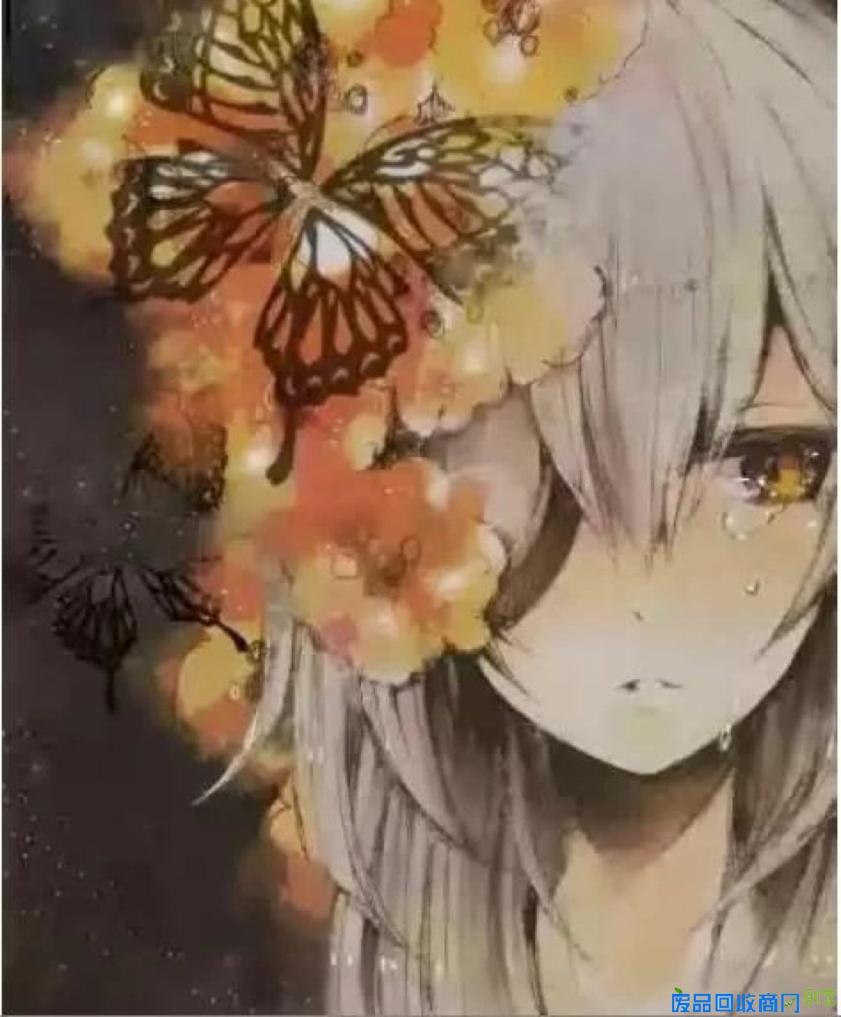 蝴蝶 女孩 动漫