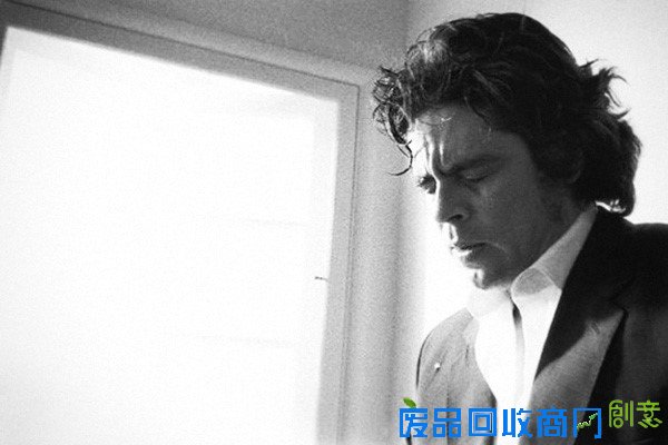 包括裘德洛,罗比威廉斯