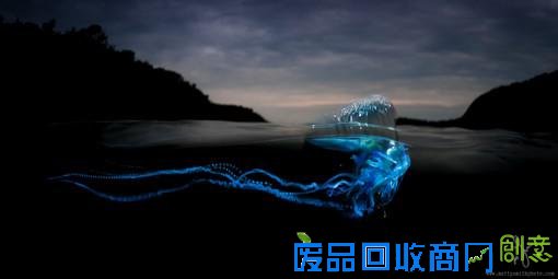 创意水下风光摄影图片(2015