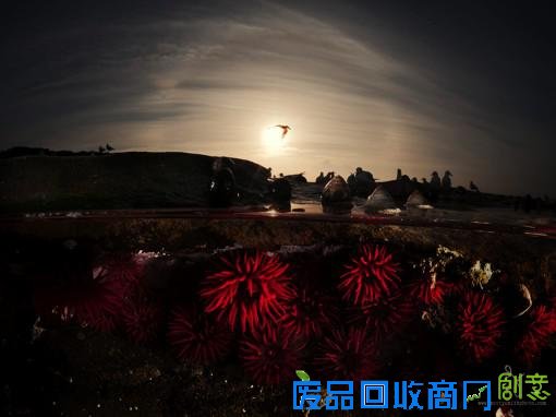 创意水下风光摄影图片(2015