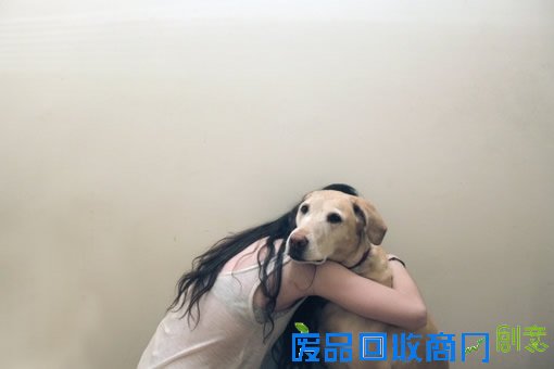 萌宠可爱图片,可爱的小猫小狗图片