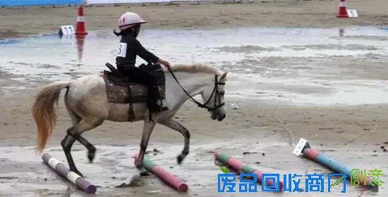 广西马协办创意马术:鲜肉少年策马踏浪 一展魅力
