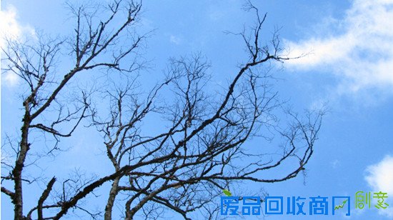 影灯光做艺术摄影 警察跟台湾美女嫌犯在_台湾美女人体艺术摄影_台湾美女刘莎莎事件完整照片门