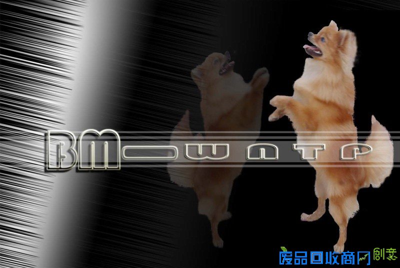 我家美女的艺术照 警察跟台湾美女嫌犯在_台湾美女人体艺术摄影_台湾美女刘莎莎事件完整照片门