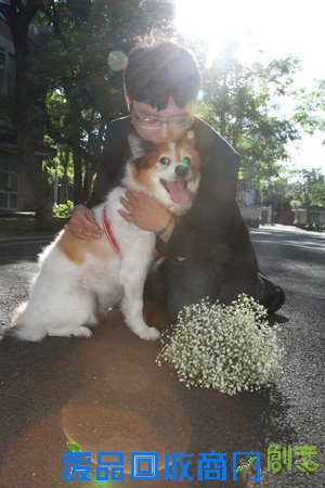 和狗狗一起拍婚纱照?主人:它得了癌症,时日无多