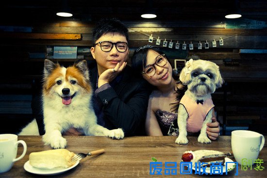 和狗狗一起拍婚纱照?主人:它得了癌症,时日无多