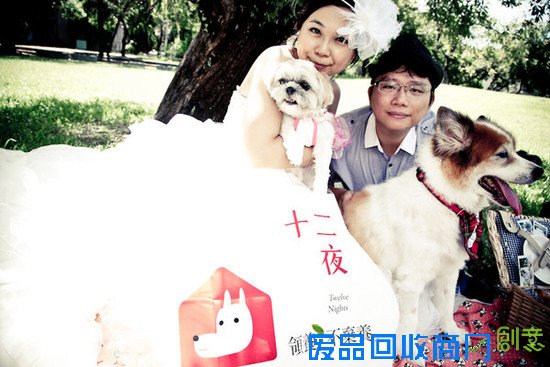 和狗狗一起拍婚纱照?主人:它得了癌症,时日无多