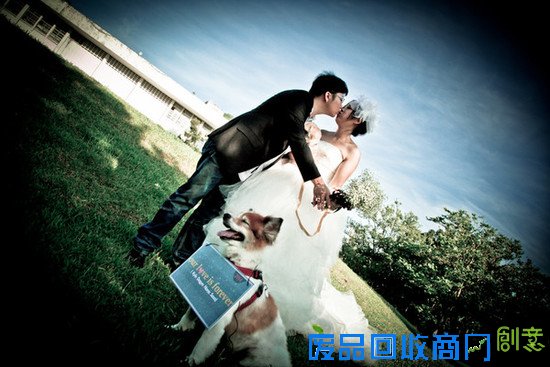 和狗狗一起拍婚纱照?主人:它得了癌症,时日无多