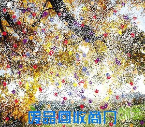 26岁美貌女一夜衰老成90岁老太（20）