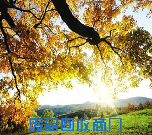 26岁美貌女一夜衰老成90岁老太（20）