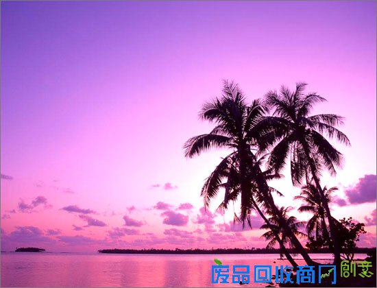 令人心旷神怡的养眼美景