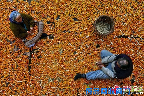 令人心旷神怡的精妙唯美摄影