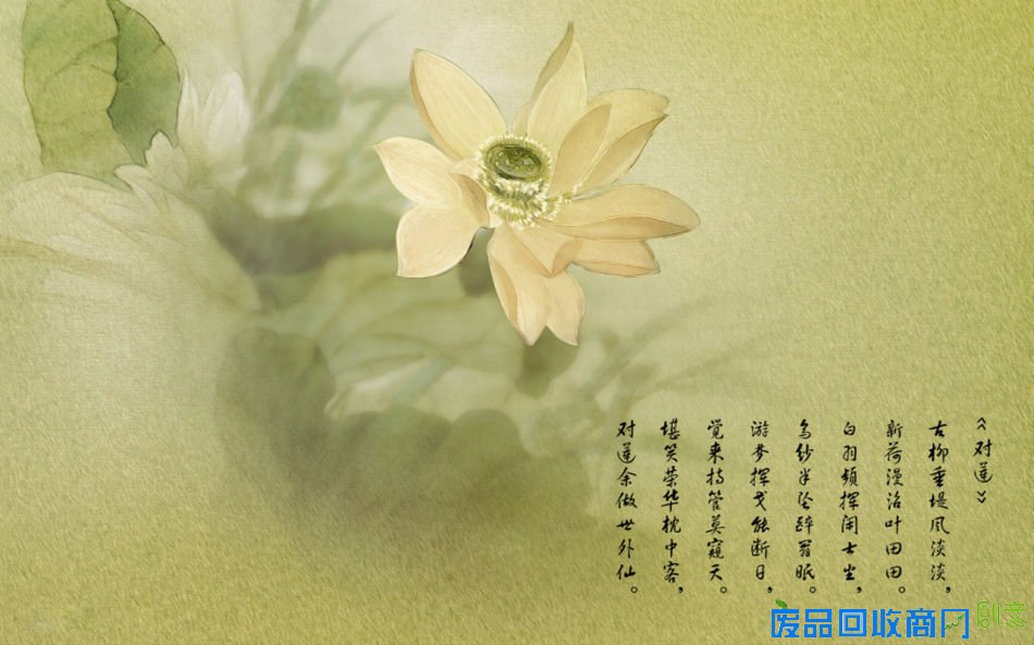 淡雅图片_互动图片