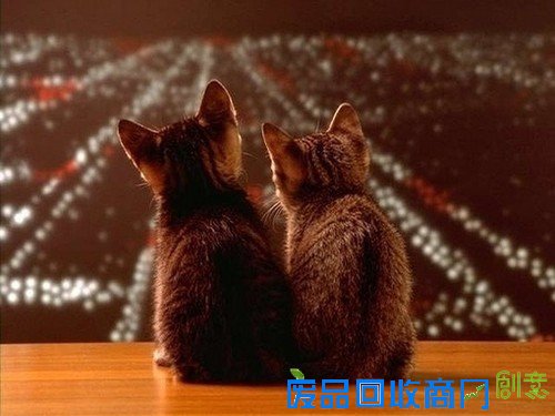 一个人看世界的灯火阑珊 唯美意境摄影