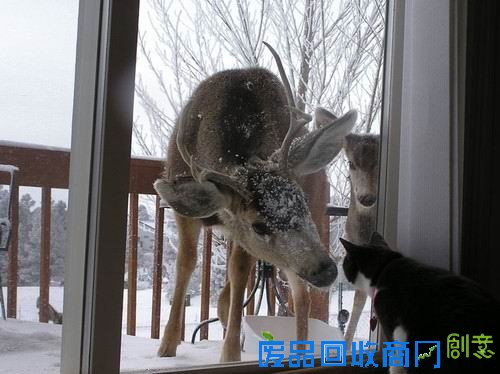 50张非常唯美的照片：简直惊呆了！