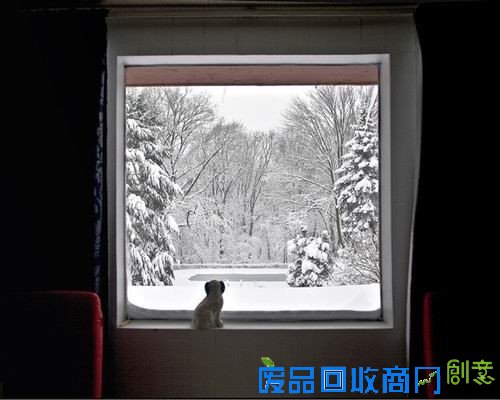 50张非常唯美的照片：简直惊呆了！