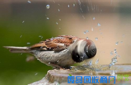 50张非常唯美的照片：简直惊呆了！