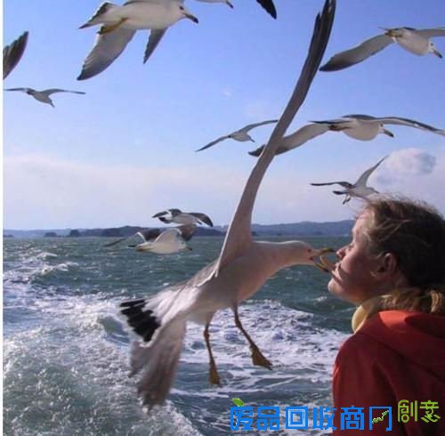 50张非常唯美的照片：简直惊呆了！