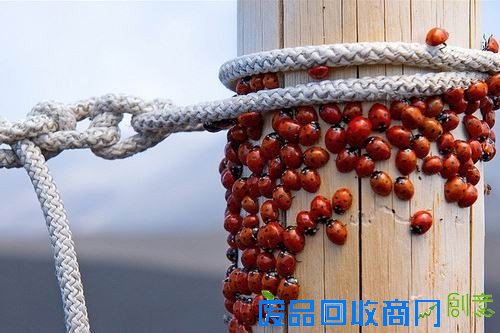 50张非常唯美的照片：简直惊呆了！