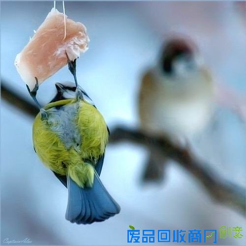 50张非常唯美的照片：简直惊呆了！