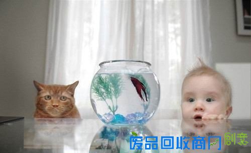 50张非常唯美的照片：简直惊呆了！