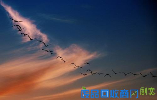 50张非常唯美的照片：简直惊呆了！