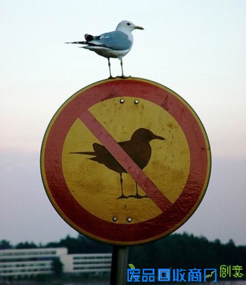 50张非常唯美的照片：简直惊呆了！