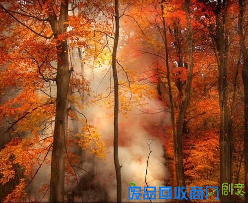 50张非常唯美的照片：简直惊呆了！