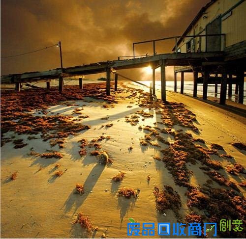 50张非常唯美的照片：简直惊呆了！