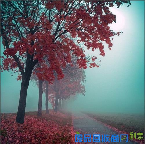 50张非常唯美的照片：简直惊呆了！