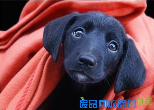 50张非常唯美的照片：简直惊呆了！