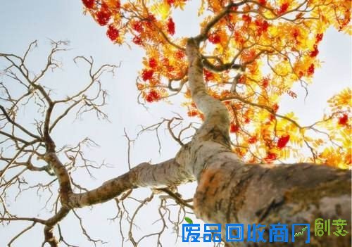 50张非常唯美的照片：简直惊呆了！