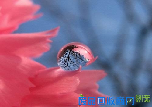 50张非常唯美的照片：简直惊呆了！