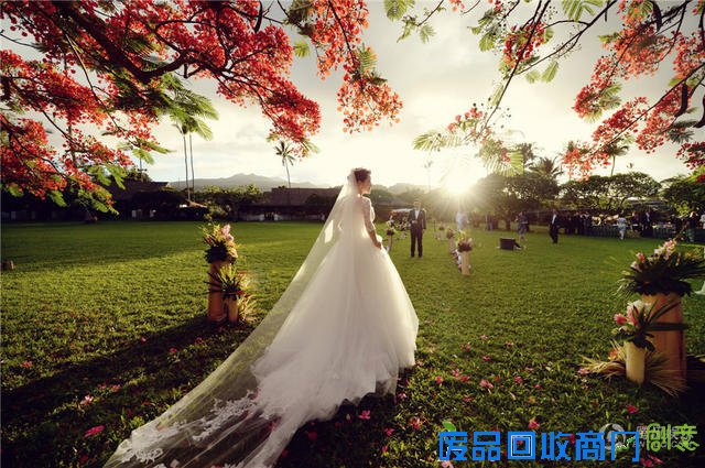 陆川与央视主播胡蝶完婚 办美国传统婚礼