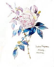 日系,心情,伤感 爱情伤感日图片_爱情伤感日大图_非主流美女图片伤感 狗逼社会狗日爱情