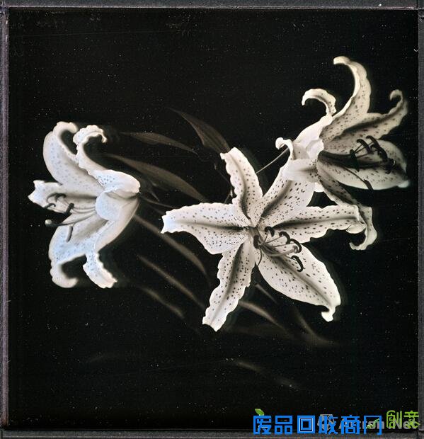 【雅昌快讯】银版摄影法的新表现 新井卓摄影作品展将展