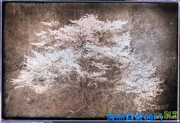 【雅昌快讯】银版摄影法的新表现 新井卓摄影作品展将展