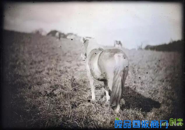 【雅昌快讯】银版摄影法的新表现 新井卓摄影作品展将展