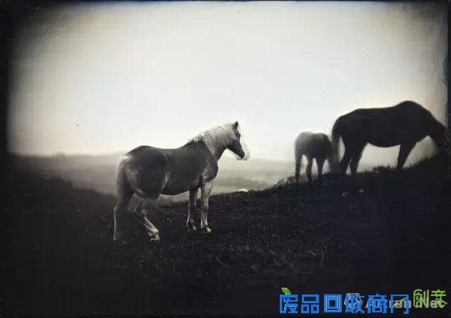 【雅昌快讯】银版摄影法的新表现 新井卓摄影作品展将展