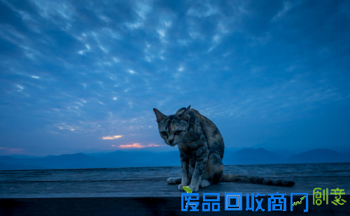 摄影名家谈索尼三剑客镜头之SEL1635Z（上）