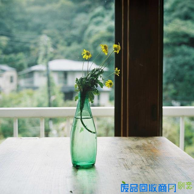 唯美意境清透绿意风景伤感图片