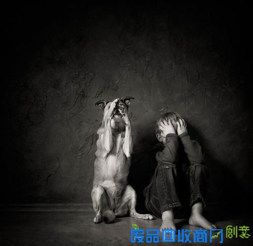 记录儿童与动物温情互动时刻