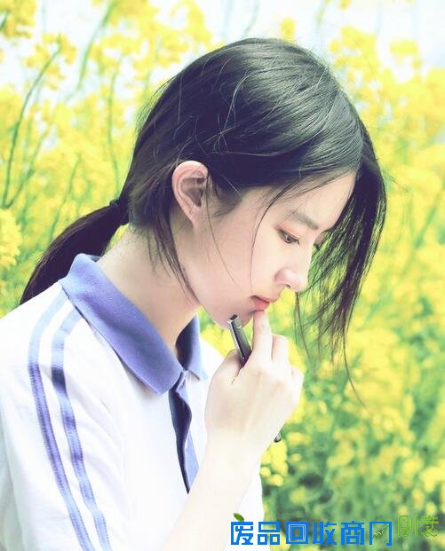 刘亦菲发型图片1