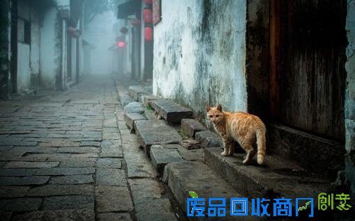 唯美的江南水乡风光摄影(2015