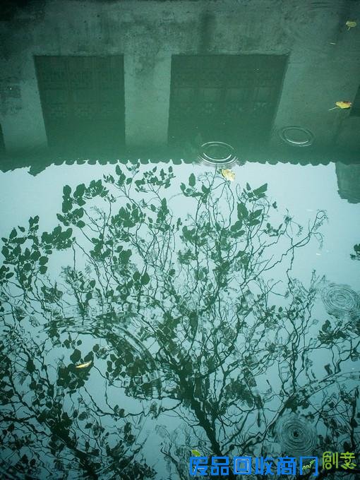 唯美的江南水乡风光摄影(2015