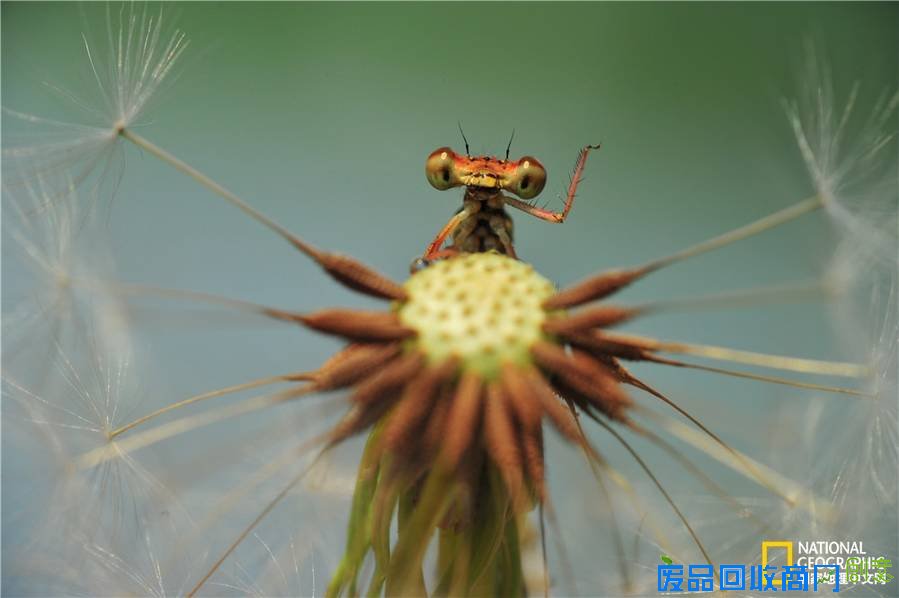 2015《国家地理》全球摄影大赛中国区获奖作品