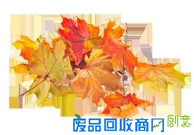 有悲秋情绪的人，一定是有相当文化品位、感情丰富敏感的人，这样的人对人生体验深刻，在人格上最求完美，更应该得到尊重和爱护。一年好景君须记，正是橙黄橘绿时，秋分时节，谨以此文献给有缘之人，让我们爱在深秋，乐在深秋。