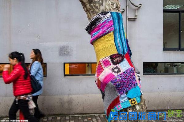 路边梧桐穿上萌毛衣 五颜六色可爱至极(图)